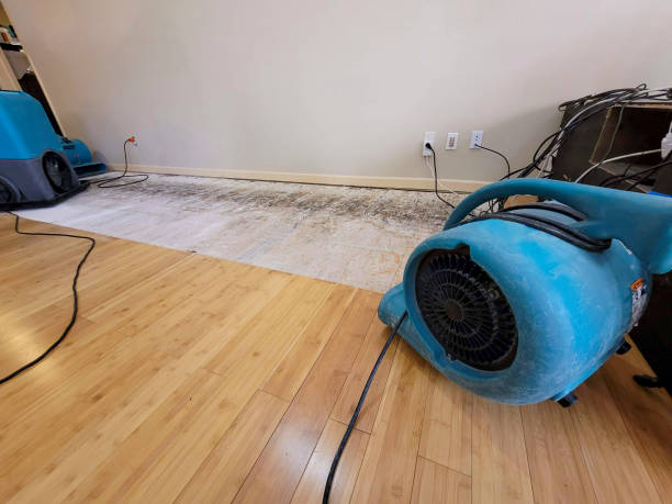 Professional Basement Flood Cleanup technician working in Squirrel Island, ME
